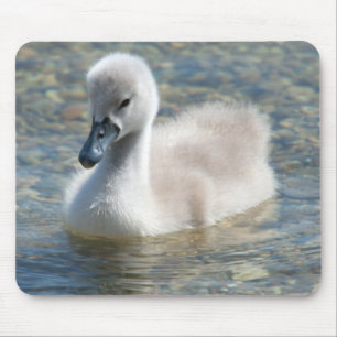 Alfombrilla De Ratón Bella mute Swan Duckling