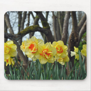 Alfombrilla De Ratón Belleza adafroidea amarilla