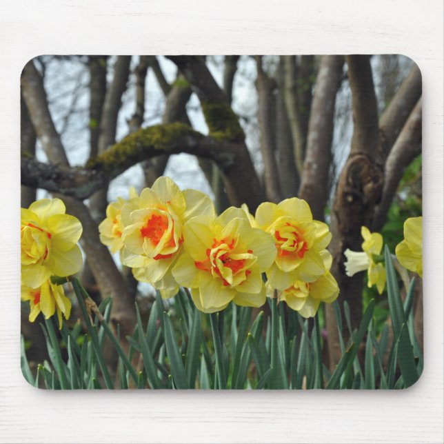 Alfombrilla De Ratón Belleza adafroidea amarilla (Frente)