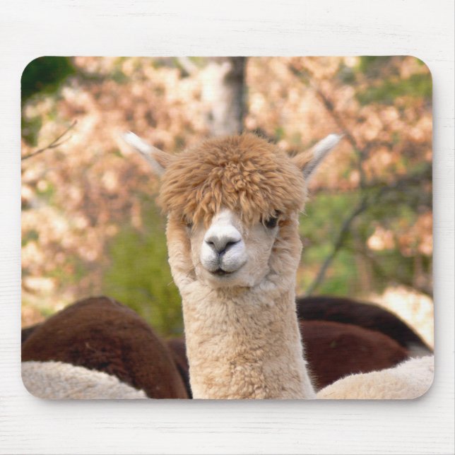 Alfombrilla De Ratón Belleza de Mousepad de la alpaca (Frente)