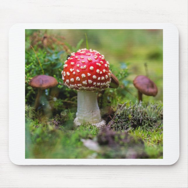 Alfombrilla De Ratón Belleza de otoño (Frente)