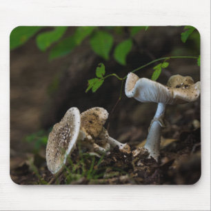 Alfombrilla De Ratón Belleza envenenada