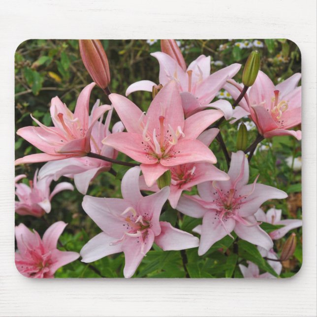 Alfombrilla De Ratón Belleza floral de lirio rosa   (Frente)