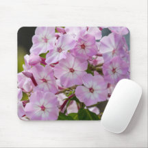 Belleza floreciente: fotografía fotográfica fotogr