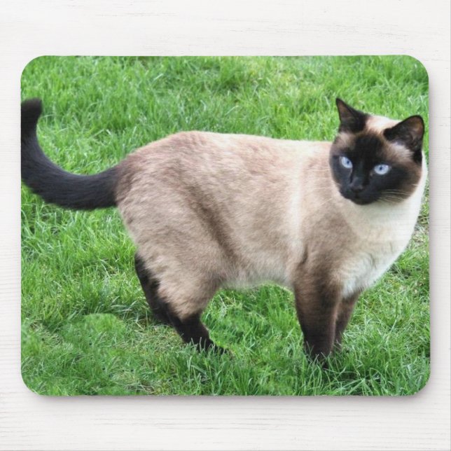 ALFOMBRILLA DE RATÓN BELLEZA SIAMESA (Frente)