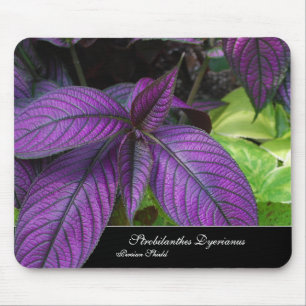 Alfombrilla De Ratón Belleza violeta Mousepad