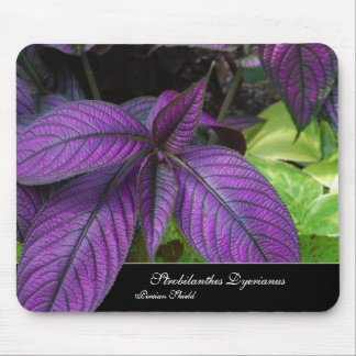 Alfombrilla De Ratón Belleza violeta Mousepad