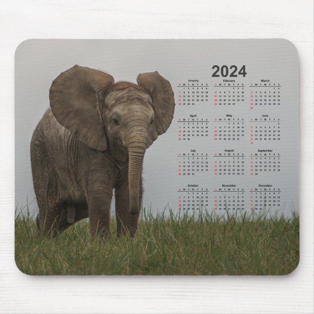 Alfombrilla De Ratón Bello calendario africano Bush Elephant 2024 (Frente)
