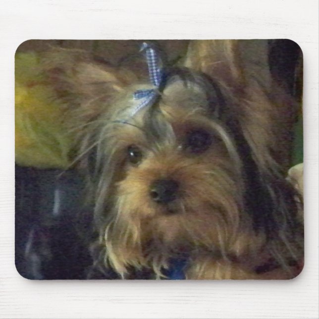 ALFOMBRILLA DE RATÓN BENSON (Frente)