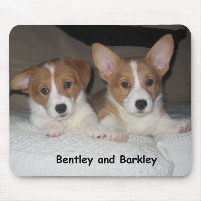 Alfombrilla De Ratón Bentley y Barkley (Frente)
