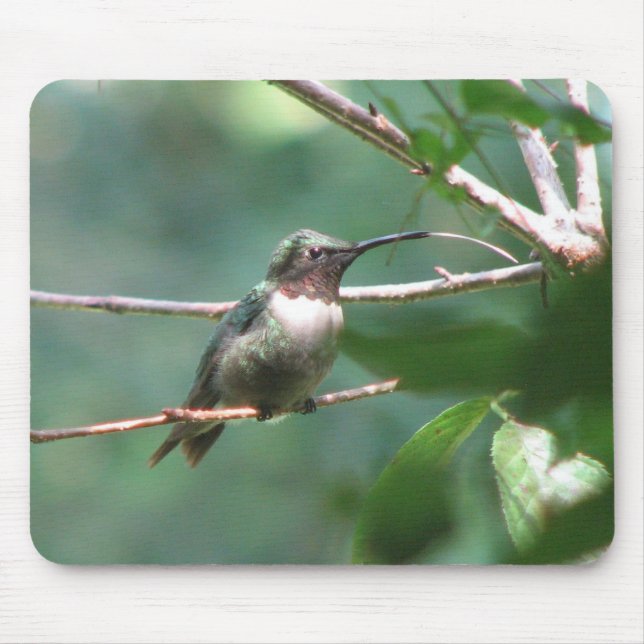 Alfombrilla De Ratón Beso Mousepad de Hummer (Frente)