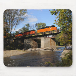 Alfombrilla De Ratón Bessemer y el lago Erie 867
