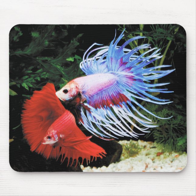 Alfombrilla De Ratón Bettaのマウスパッド,No.09 (Frente)