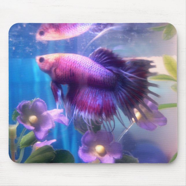 Alfombrilla De Ratón Betta hermoso (Frente)