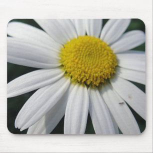 Alfombrilla De Ratón Big Daisy