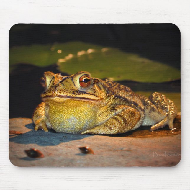 Alfombrilla De Ratón Big Fat Toad (Frente)