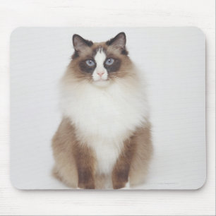Alfombrilla De Ratón Big Furry Cat