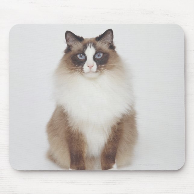 Alfombrilla De Ratón Big Furry Cat (Frente)