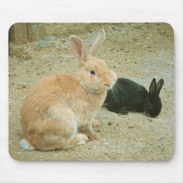Alfombrilla De Ratón Big Red Bunny (Frente)