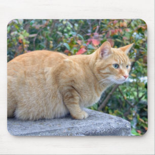 Alfombrilla De Ratón Big Red Tabby