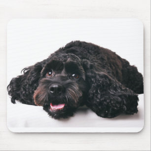 Alfombrilla De Ratón bigote de cocker poodle mix puppy mousepad