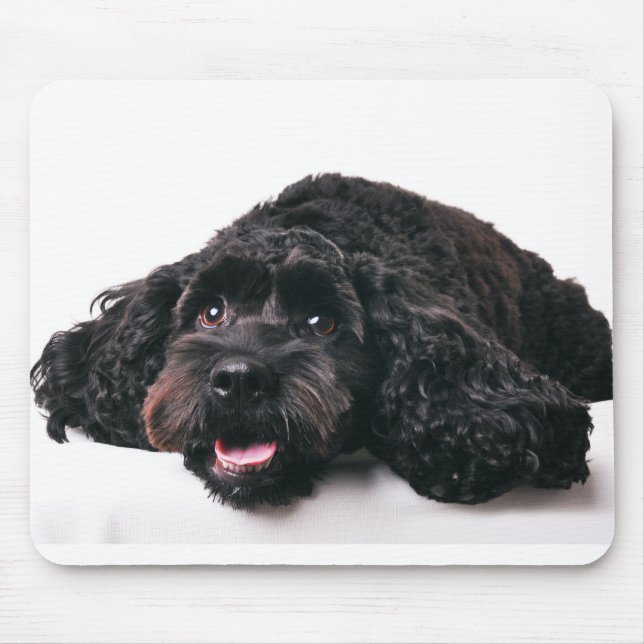 Alfombrilla De Ratón bigote de cocker poodle mix puppy mousepad (Frente)