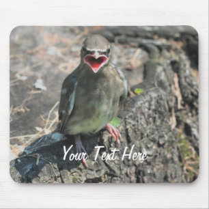 Alfombrilla De Ratón Bird Nature Photography Mousepad