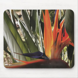Alfombrilla De Ratón Bird of Paradise Strelitzia Reginae Acrylic Painti