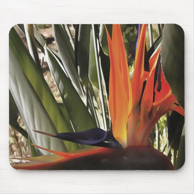 Alfombrilla De Ratón Bird of Paradise Strelitzia Reginae Acrylic Painti (Frente)