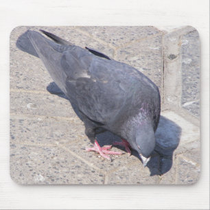 Alfombrilla De Ratón Bird Pad