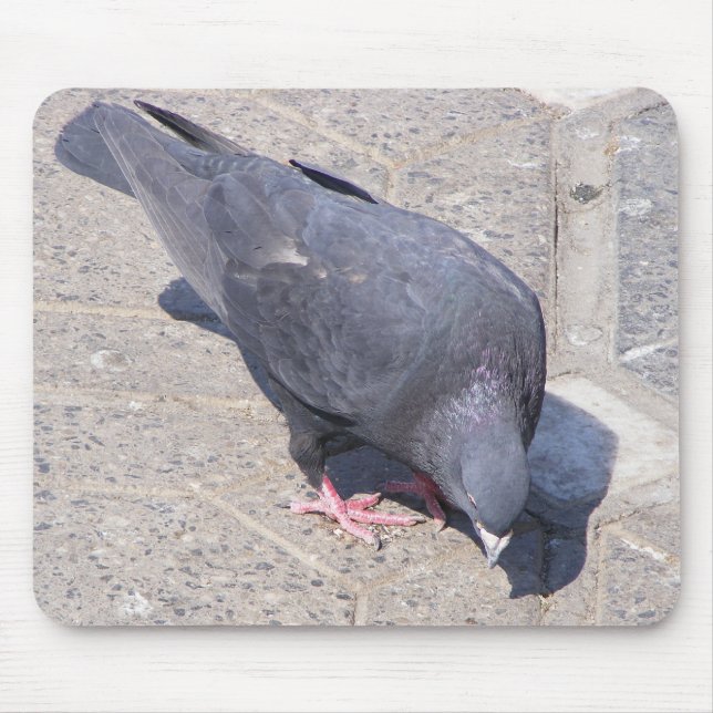 Alfombrilla De Ratón Bird Pad (Frente)