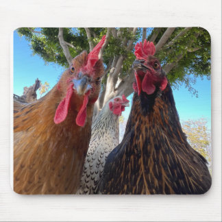 Alfombrilla De Ratón Birds with Attitude Mouse Pad