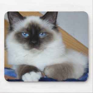 Alfombrilla De Ratón birman 2.png