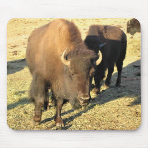 Alfombrilla De Ratón Bison de Colorado