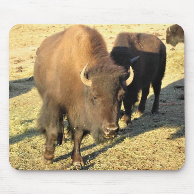 Alfombrilla De Ratón Bison de Colorado (Frente)