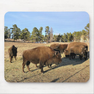 Alfombrilla De Ratón Bison de Colorado