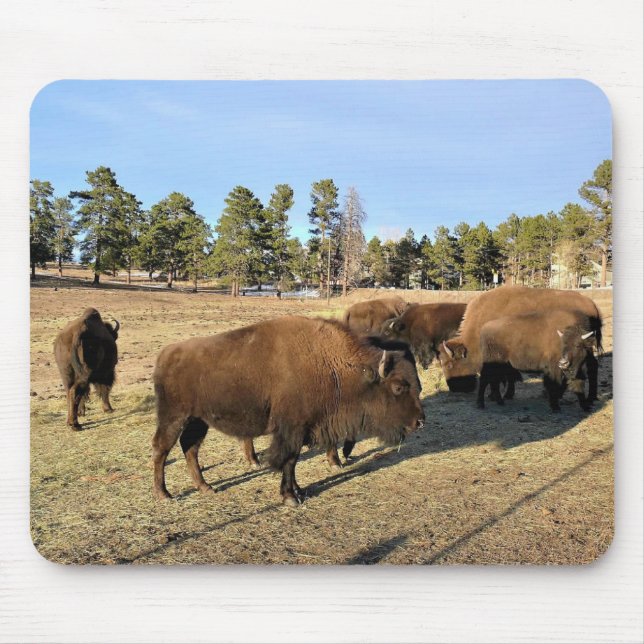 Alfombrilla De Ratón Bison de Colorado (Frente)