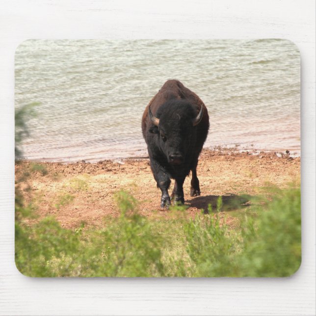 Alfombrilla De Ratón Bison en el agua (Frente)