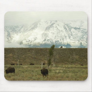 Alfombrilla De Ratón Bison en la fotografía del parque nacional del Gra