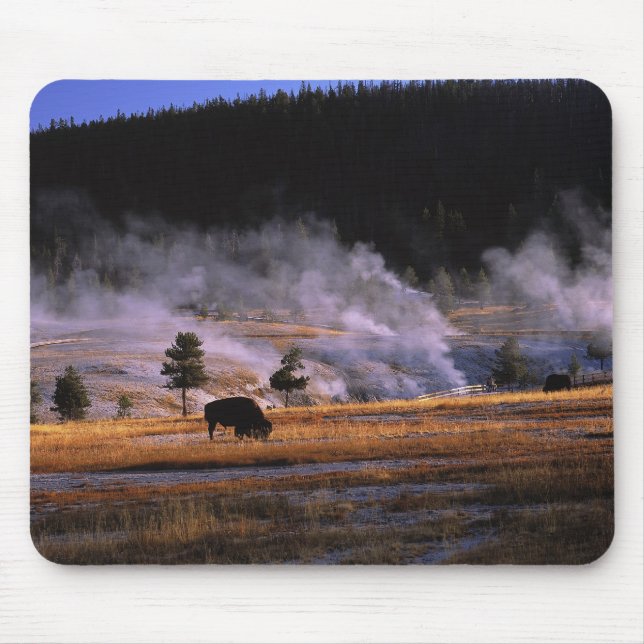 Alfombrilla De Ratón Bison pastando en la cuenca Upper Geyser (Frente)