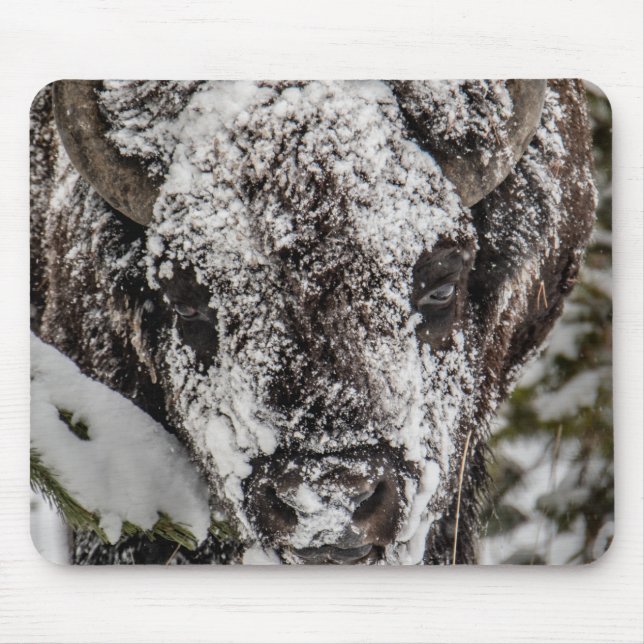 Alfombrilla De Ratón Bison Yellowstone cubierto de nieve (Frente)