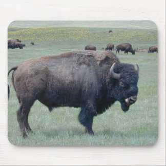 Alfombrilla De Ratón Bisonte