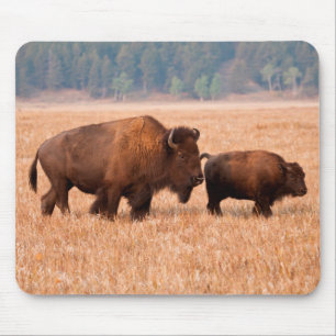 Alfombrilla De Ratón Bisonte Americano (Bison Bison) Vaca y Ternero