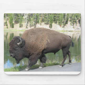 Alfombrilla De Ratón Bisonte de Yellowstone