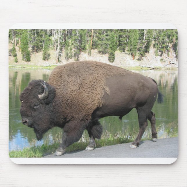 Alfombrilla De Ratón Bisonte de Yellowstone (Frente)