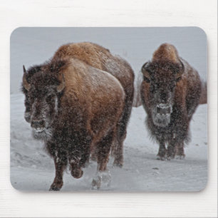 Alfombrilla De Ratón Bisonte de Yellowstone