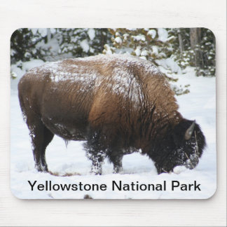 Alfombrilla De Ratón Bisonte de Yellowstone en el invierno Mousepad