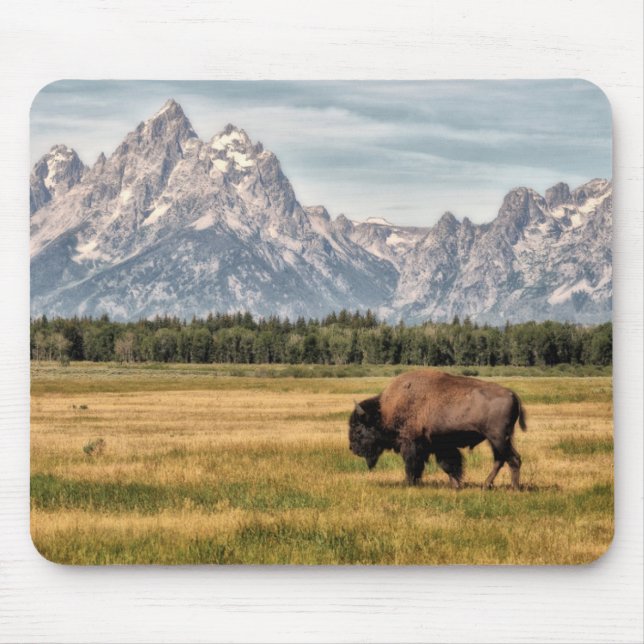 Alfombrilla De Ratón Bisonte en el Tetons (Frente)