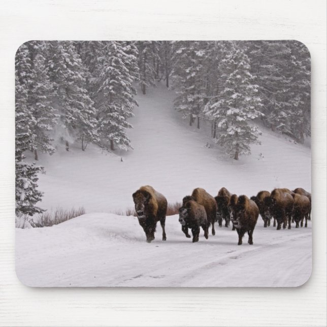 Alfombrilla De Ratón Bisonte en invierno (Frente)
