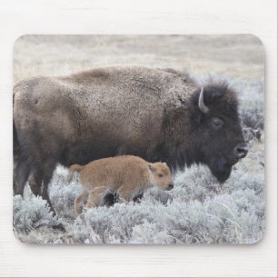 Alfombrilla De Ratón Bisonte vaca y ternero, Yellowstone